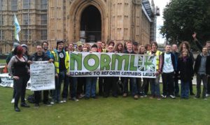 Bedrocan protest on College Green outside Parliament in 2014.