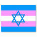 A Jewish Star of David on a trans flag background.