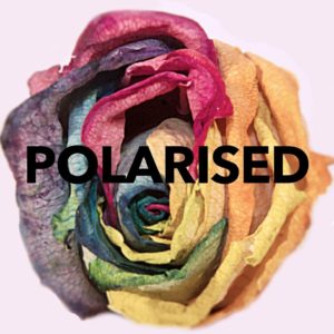 Polarised - A documentary on LGBTQ mental health - Polarised Mark 2 Rose