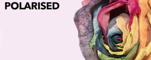 Polarised - A documentary on LGBTQ mental health - Polarised rose cover image